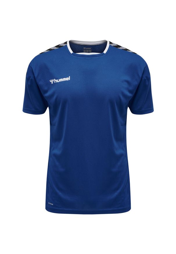 Jersey Hummel enfant hmlAUTHENTIC Poly HML. Kolor: niebieski. Materiał: jersey. Sport: fitness