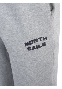 North Sails Spodnie | 90 3202 000 | Sweatpant W/Graphic | Mężczyzna | Szary. Okazja: na co dzień. Kolor: szary. Materiał: bawełna. Wzór: nadruk, aplikacja. Styl: casual #3