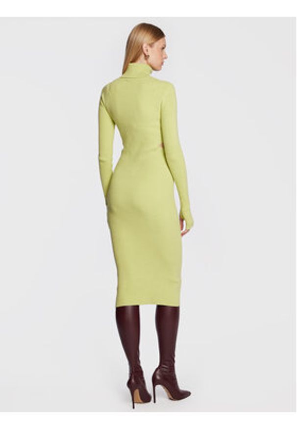 Herskind Sukienka dzianinowa Fabienne 4630853 Zielony Slim Fit. Kolor: zielony. Materiał: bawełna