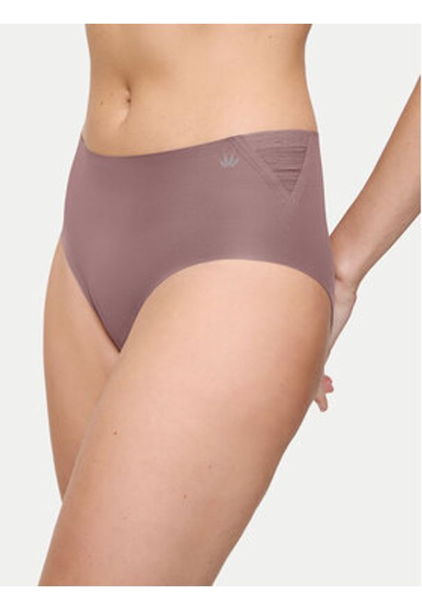 Triumph Figi klasyczne z wysokim stanem Flex Smart 10213145 Brązowy. Stan: podwyższony. Kolor: brązowy. Materiał: syntetyk