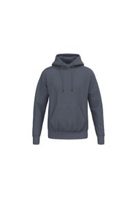 ERIMA - Bluza z kapturem dla dzieci Erima TS. Typ kołnierza: kaptur. Kolor: szary #1