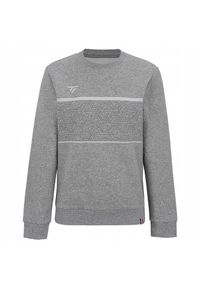 TECNIFIBRE - Bluza dziecięca lifestyle Tecnifibre Team Sweater. Kolor: szary #1