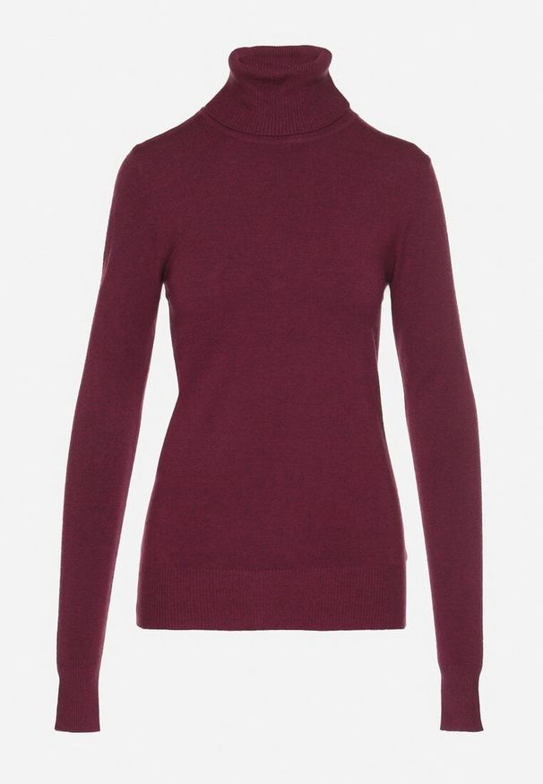 Born2be - Ciemnobordowy Golf Sweter z Wiskozą i Kaszmirem Zailaya. Okazja: na co dzień. Typ kołnierza: golf. Kolor: czerwony. Materiał: wiskoza, kaszmir. Styl: casual