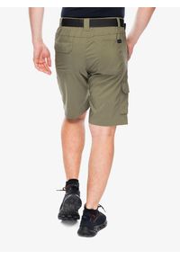 columbia - Spodenki turystyczne męskie Columbia Silver Ridge Utility Cargo Short. Kolor: zielony