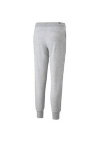 Puma - Spodnie Do Biegania Essential Dla Kobiet. Kolor: szary