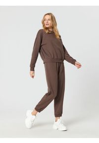 Sinsay - Spodnie dresowe - brązowy. Kolor: brązowy. Materiał: dresówka