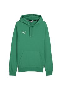 Bluza męska Puma Team Goal Casuals Hoody. Kolor: zielony. Sport: koszykówka