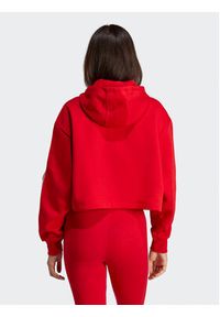Adidas - adidas Bluza Adicolor Classics Crop Hoodie IB7389 Czerwony Loose Fit. Kolor: czerwony. Materiał: bawełna #6