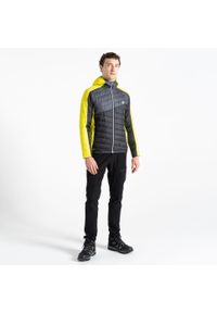 DARE 2B - Kurtka turystyczna męska Touring pikowana. Kolor: żółty. Materiał: puch. Sport: turystyka piesza