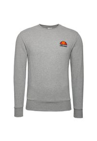 Bluza sportowa męska Ellesse. Kolor: szary