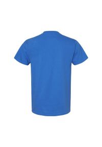 GILDAN - Koszulka Unisex Dla Dorosłych Softstyle Midweight. Kolor: niebieski. Materiał: bawełna. Sport: turystyka piesza