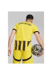 Puma - Męska koszulka pucharowa Borussia Dortmund 24/25 PUMA Faster Yellow Black. Kolor: żółty, wielokolorowy, czarny