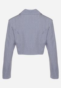 Born2be - Niebieska Marynarka Dwurzędowa o Krótkim Kroju w Delikatne Paski Redarisa. Okazja: na co dzień. Kolor: niebieski. Materiał: jeans. Długość: krótkie. Wzór: paski. Styl: elegancki, casual #4