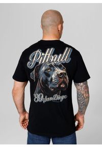PITBULL - Koszulka bawełniana sportowy t-shirt dla dorosłych Original. Kolor: czarny, wielokolorowy. Materiał: bawełna. Sport: taniec, joga i pilates