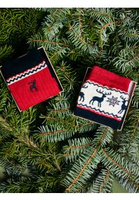 Big-Star - Skarpety męski długie w prążek czerwone Trix 603. Kolor: czerwony. Materiał: prążkowany, bawełna. Wzór: prążki #3