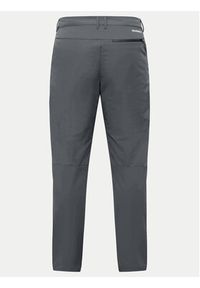 Jack Wolfskin Spodnie outdoor Pico A63904 Granatowy Regular Fit. Kolor: niebieski. Materiał: syntetyk. Sport: outdoor