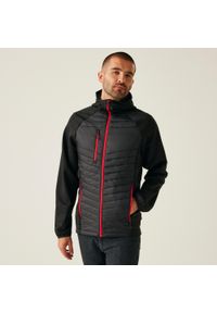 Regatta - Kurtka robocza hybrydowa męska Nagate. Kolor: czarny. Materiał: puch. Sport: turystyka piesza #1