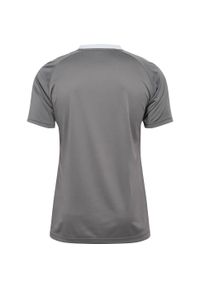 Koszulka Hummel Triumph. Kolor: szary. Sport: piłka nożna #2