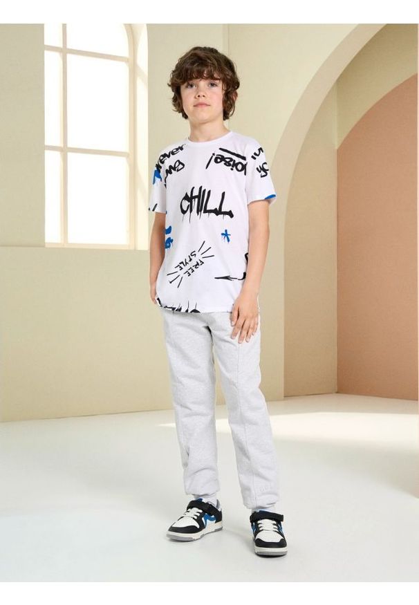 Sinsay - Spodnie dresowe - szary. Kolor: szary. Materiał: dresówka