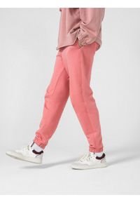 outhorn - Spodnie dresowe damskie - różowe. Kolor: różowy. Materiał: dresówka. Wzór: haft #11