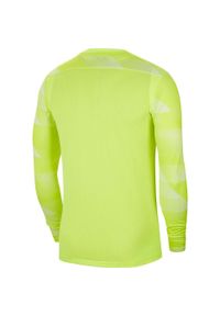 Nike - Męska Koszulka Bramkarska Dry Park IV. Kolor: zielony. Sport: turystyka piesza