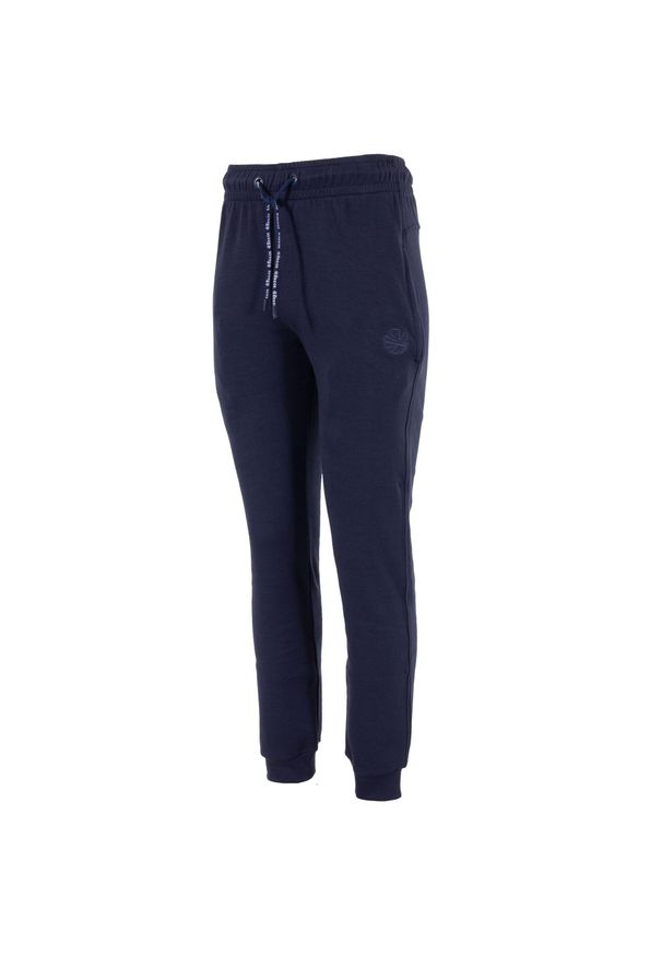 REECE - Spodnie dresowe Reece Australia Studio. Kolor: niebieski. Materiał: dresówka. Wzór: haft, aplikacja. Sport: bieganie, fitness