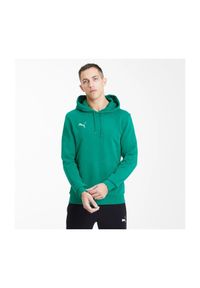 Bluza Puma TeamGoal 23 Casuals męska. Kolor: zielony