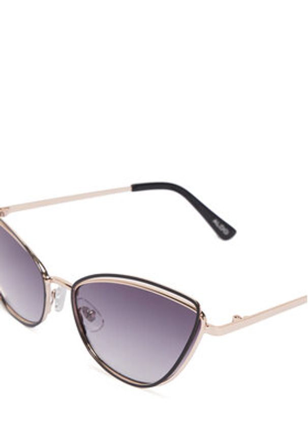 Aldo Okulary przeciwsłoneczne Calanderiel 13994878 Czarny. Kolor: czarny