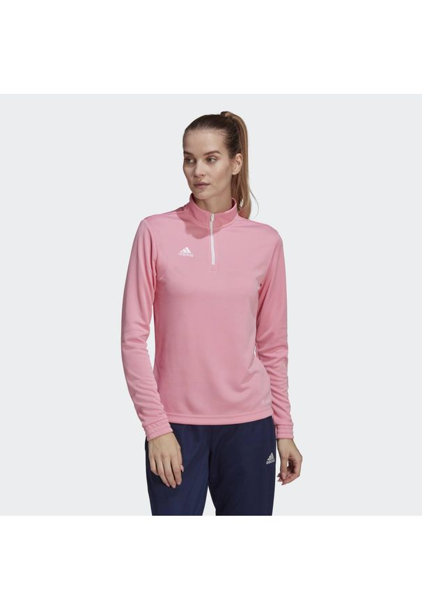 Bluza piłkarska damska Adidas Entrada 22 Training Top. Kolor: różowy. Materiał: materiał. Sport: piłka nożna