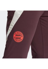 Adidas - Spodnie treningowe piłkarskie FC Bayern 24/25. Sport: piłka nożna