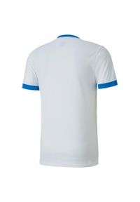 Koszulka męska Puma teamGOAL 23 Jersey. Kolor: biały, wielokolorowy, niebieski. Materiał: jersey. Sport: fitness