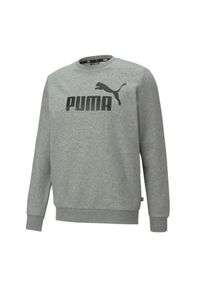 Puma - Bluza Męska Essentials Big Logo Z Okrągłym Dekoltem. Kolor: szary