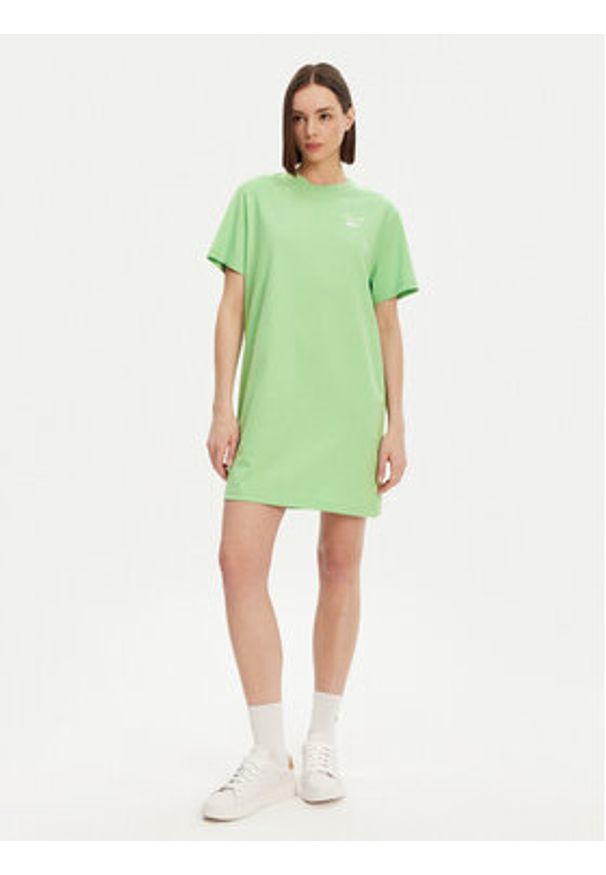 Lacoste Sukienka codzienna EF9573 Zielony Regular Fit. Okazja: na co dzień. Kolor: zielony. Materiał: bawełna. Typ sukienki: proste. Styl: casual