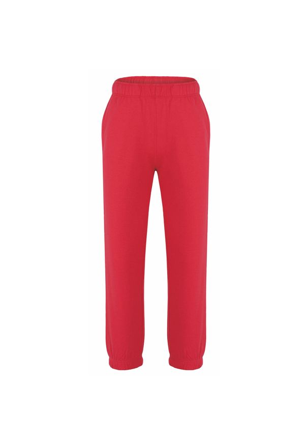 ZOOPLEMENTS - Spodnie treningowe dla dzieci Disindi 164 - ciepłe i trwałe. Okazja: na uczelnię, do domu. Kolor: wielokolorowy. Materiał: dresówka, bawełna