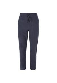 ZOOPLEMENTS - Męskie spodnie dresowe Athl. Dpt. Emisfero niebieskie, S. Kolor: niebieski. Materiał: dresówka #1