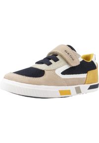 Geox - Buty GEOX B KILWI B. B Jasnobrązowy. Kolor: brązowy, wielokolorowy, beżowy. Materiał: tkanina. Sport: turystyka piesza