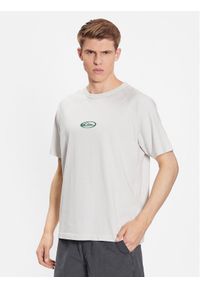 Quiksilver T-Shirt Alpha Dog EQYKT04279 Szary Regular Fit. Kolor: szary. Materiał: bawełna #1