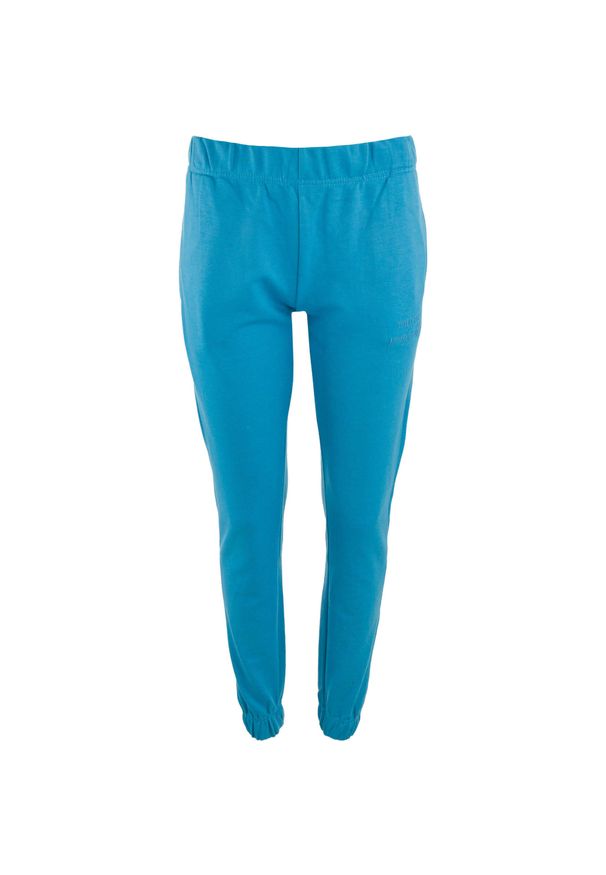 WE THE PEOPLE - Damskie spodnie dresowe THE PEOPLE REP. Diama, S. Stan: podwyższony. Kolor: niebieski. Materiał: dresówka. Długość: długie