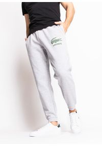 Spodnie męskie dresowe Lacoste Sport Croc Logo Jogger Pants (XH0229-CCA). Kolor: szary. Materiał: dresówka #1
