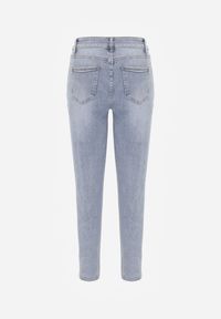 Renee - Niebieskie Casualowe Jeansy z Bawełny Menisea. Okazja: na co dzień. Kolor: niebieski. Styl: casual #5