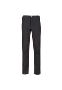 Regatta - Męskie spodnie softshellowe Geo II szare. Kolor: szary, wielokolorowy, fioletowy. Materiał: poliester, elastan