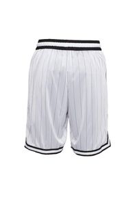 Spodenki sportowe Nike DNA Shorts Seasonal. Kolor: biały. Sport: koszykówka #2