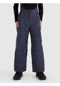 4f - 4F Spodnie narciarskie membrana 5000 chłopięce - szare 128 (7-8 lat). Kolor: szary. Materiał: materiał, poliester. Wzór: gładki. Sezon: lato. Sport: narciarstwo #2