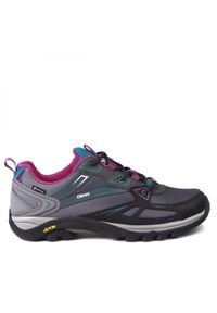 Damskie buty trekkingowe Chiruca Aruba 05 Gore-Tex. Kolor: wielokolorowy, niebieski, szary