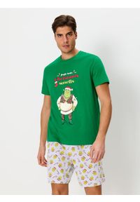 Sinsay - Piżama dwuczęściowa Shrek - zielony. Kolor: zielony. Materiał: guma. Długość: krótkie #1