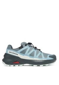 salomon - Salomon Trekkingi SPEEDCROSS PEAK GORE-TEX L47974500 Niebieski. Kolor: niebieski. Materiał: materiał #1