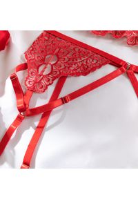 Intica - Komplet bielizny z koronką na romantyczne wieczory Vitia. Kolor: czerwony. Materiał: koronka. Wzór: koronka #3