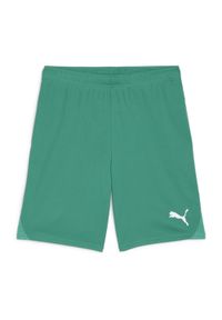Szorty Puma TeamGoal. Kolor: zielony, biały, wielokolorowy. Materiał: materiał. Sport: piłka nożna #1