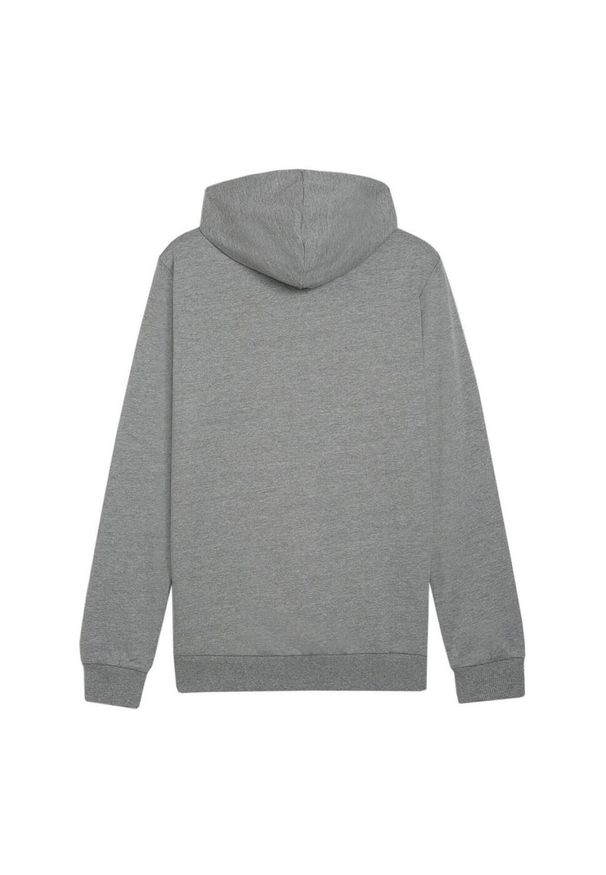 Puma - Męska Bluza Z Kapturem Team Goal Casual. Typ kołnierza: kaptur. Kolor: szary