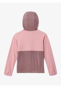 columbia - Bluza z kapturem chłopięca Columbia Back Bowl Lite Half Zip Hoodie. Typ kołnierza: kaptur. Kolor: różowy. Sport: turystyka piesza